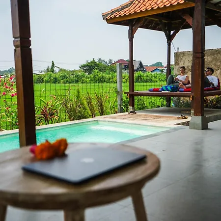 Rumah Tengah Sawah