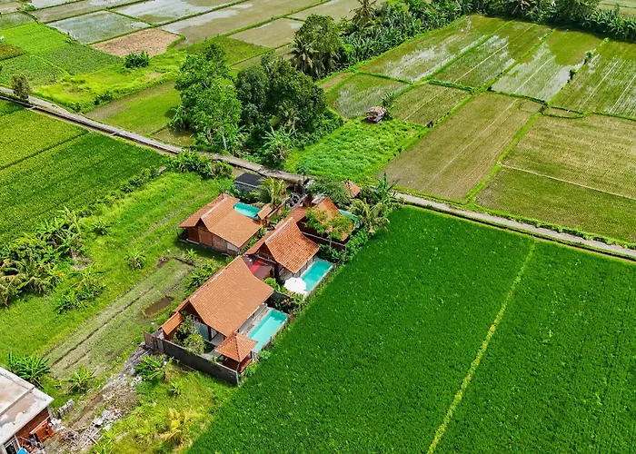 Rumah Tengah Sawah Bali *