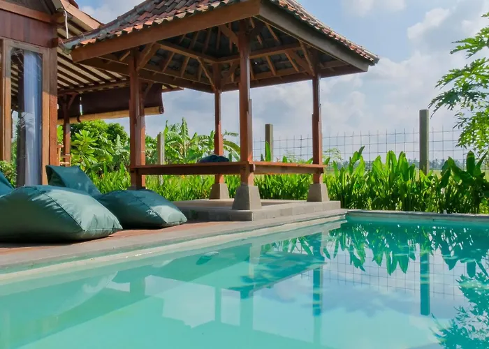 Villa Rumah Tengah Sawah Bali